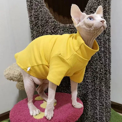 Warm Winter Clothes for Sphynx Cats