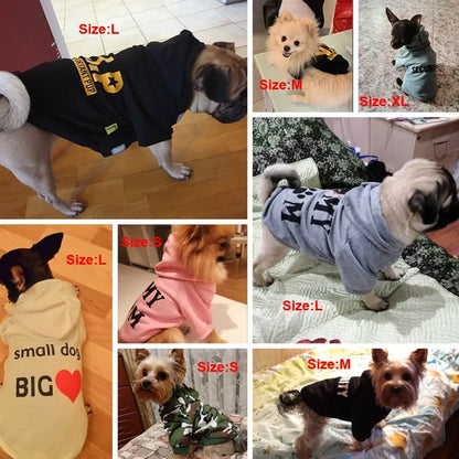 Fun Quote Pet Clothes