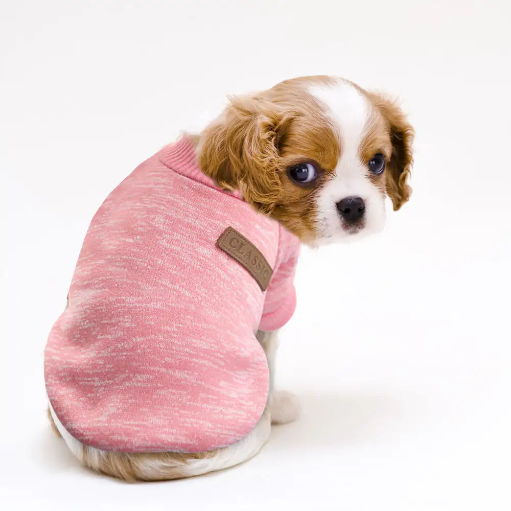 Warm Winter Pet Clothes