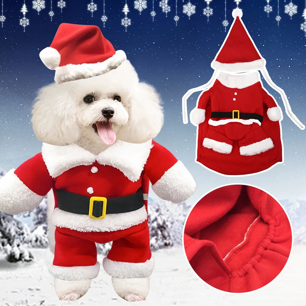 Dog in outlet santa outfit