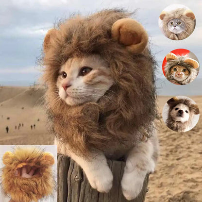 Lion Mane Cat Costume