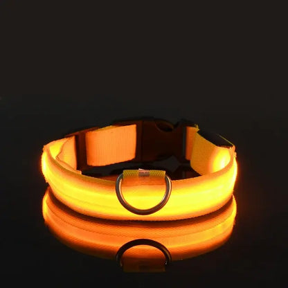 Flashing Glow Dog Collar - SassQuality