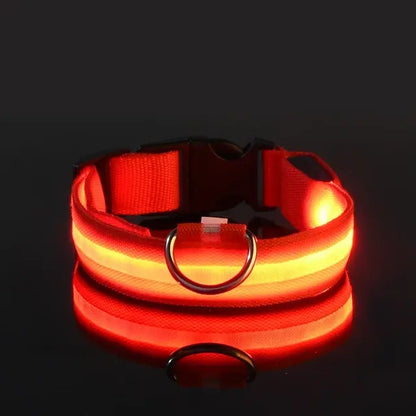 Flashing Glow Dog Collar - SassQuality