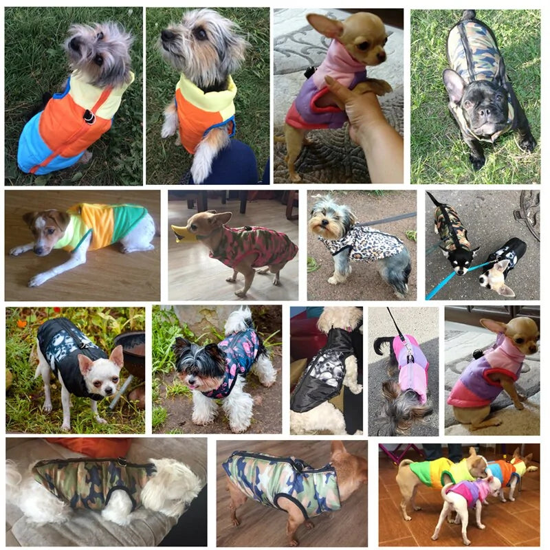 Warm Pet Clothing For Dog