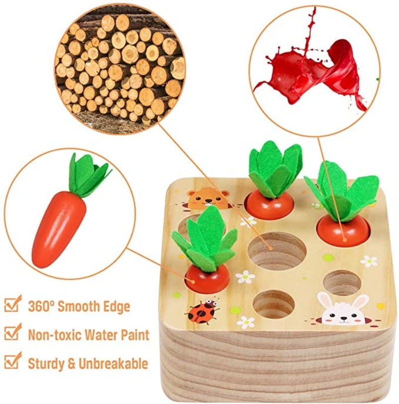 Wooden Toys for Toddlers - SassQuality