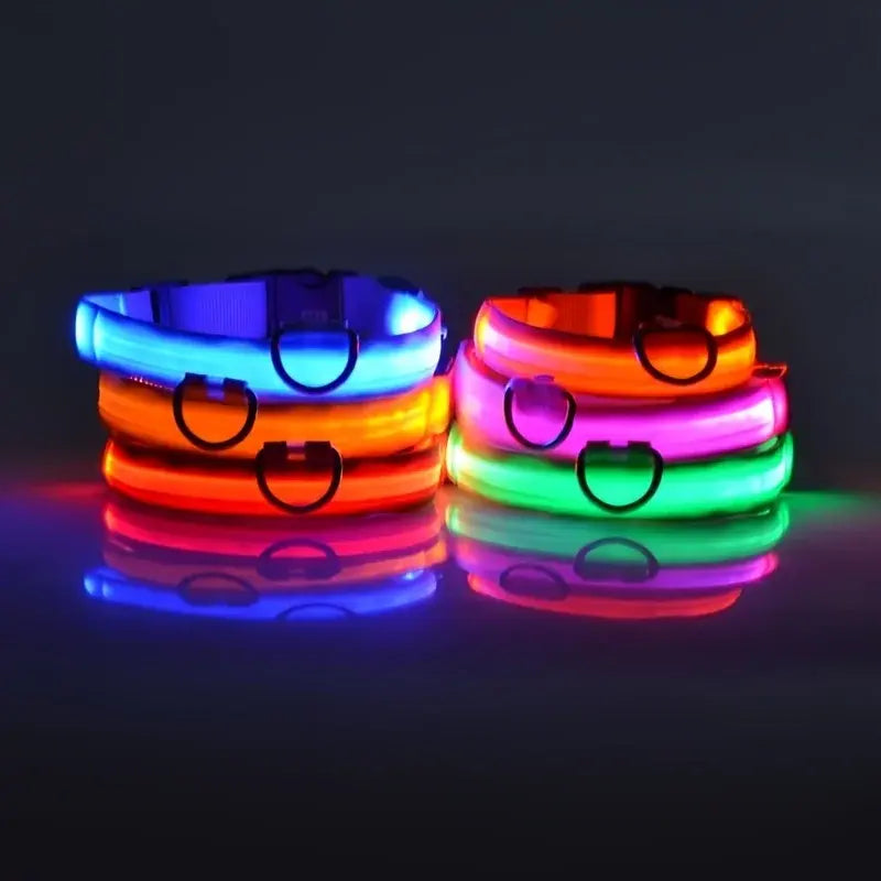 Flashing Glow Dog Collar - SassQuality