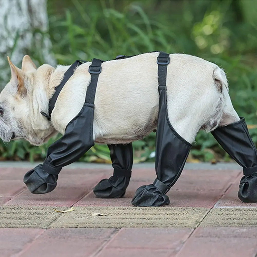 Anti-Slip Dog Shoes - SassQuality