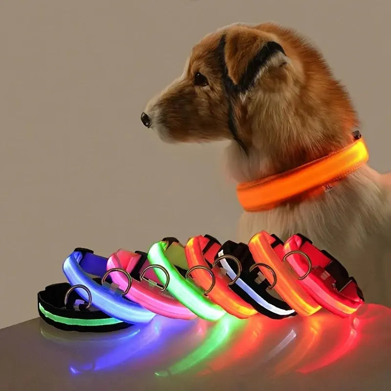 Flashing Glow Dog Collar - SassQuality