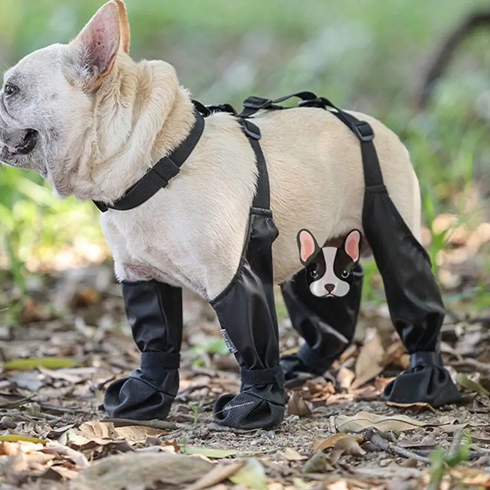 Anti-Slip Dog Shoes - SassQuality